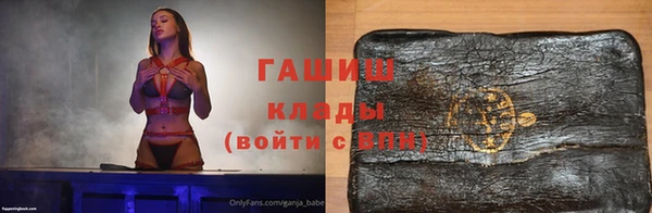 крисы Инта