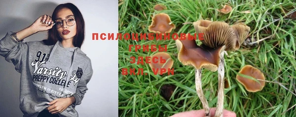 марки nbome Каменка