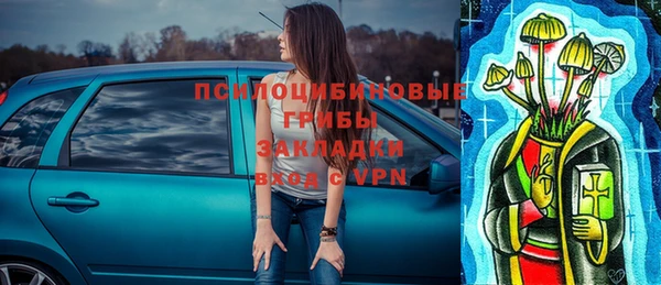 крисы Карпинск