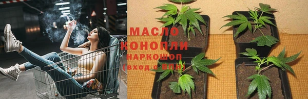 гидра Алагир
