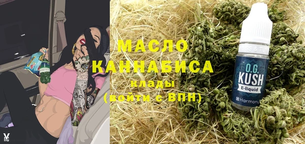крисы Инта