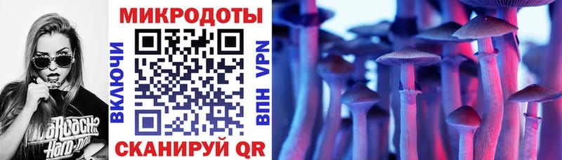 где продают наркотики  Клинцы  Псилоцибиновые грибы прущие грибы 