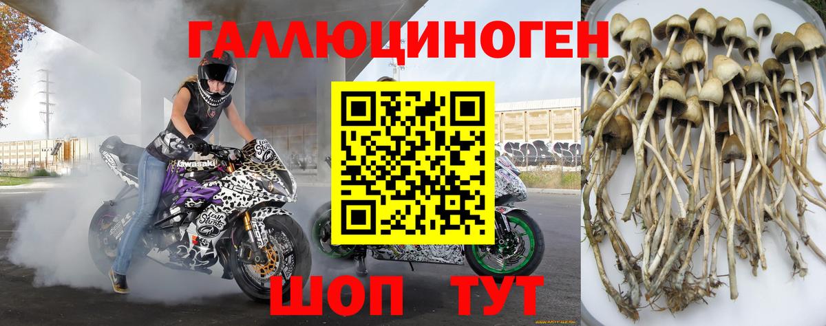 Клинцы  наркотики  Вход с VPN  Галлюциногенные грибы мицелий 